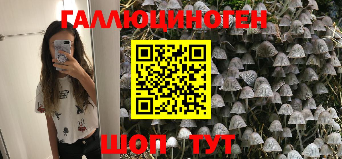 Галлюциногенные грибы Psilocybine cubensis Иваново